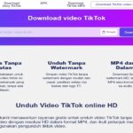 Download Tiktok Video Tanpa Watermark dengan Mudah dan Cepat